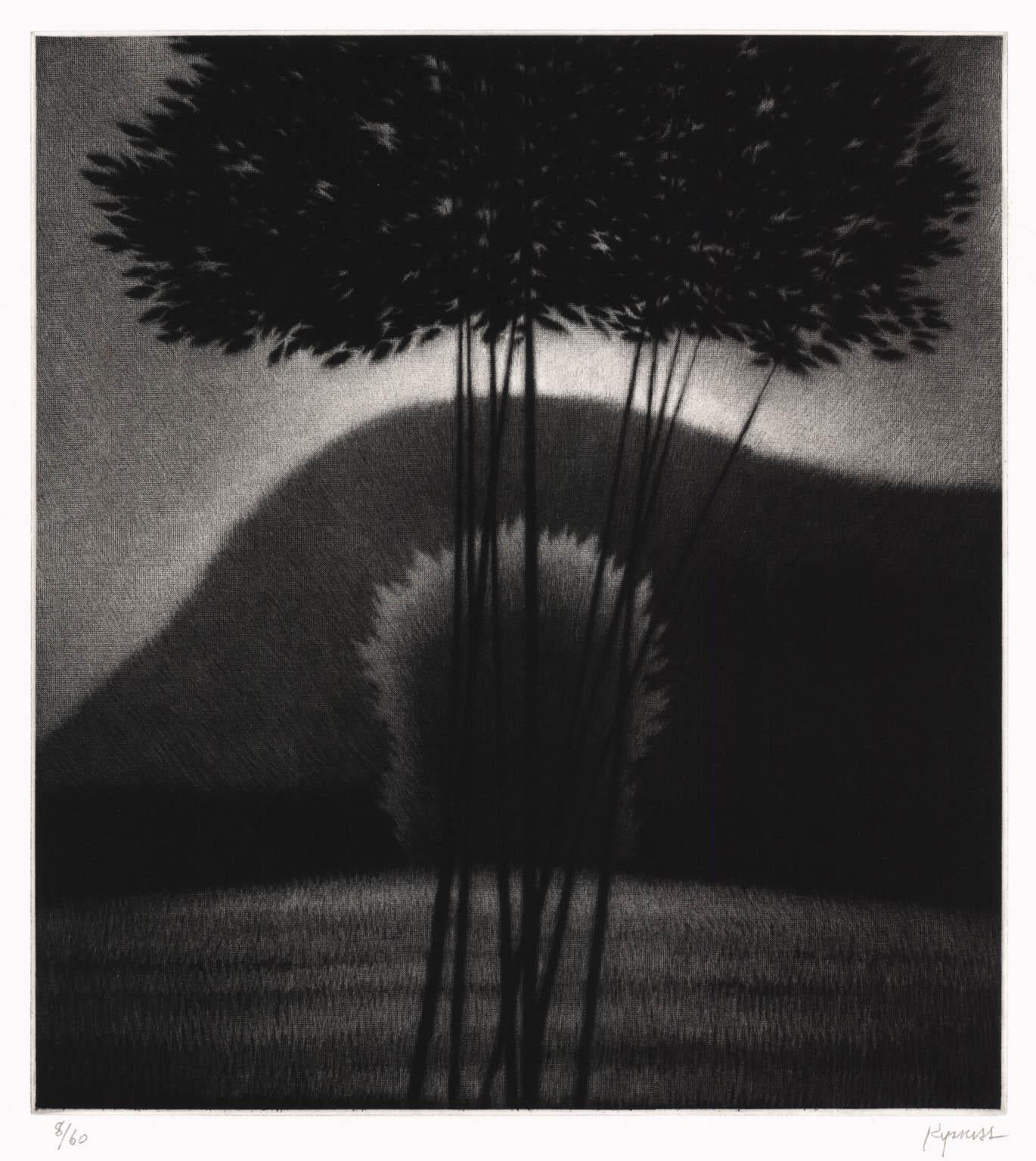 Robert Kipniss Landscape Print - Evening II