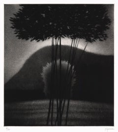Evening II