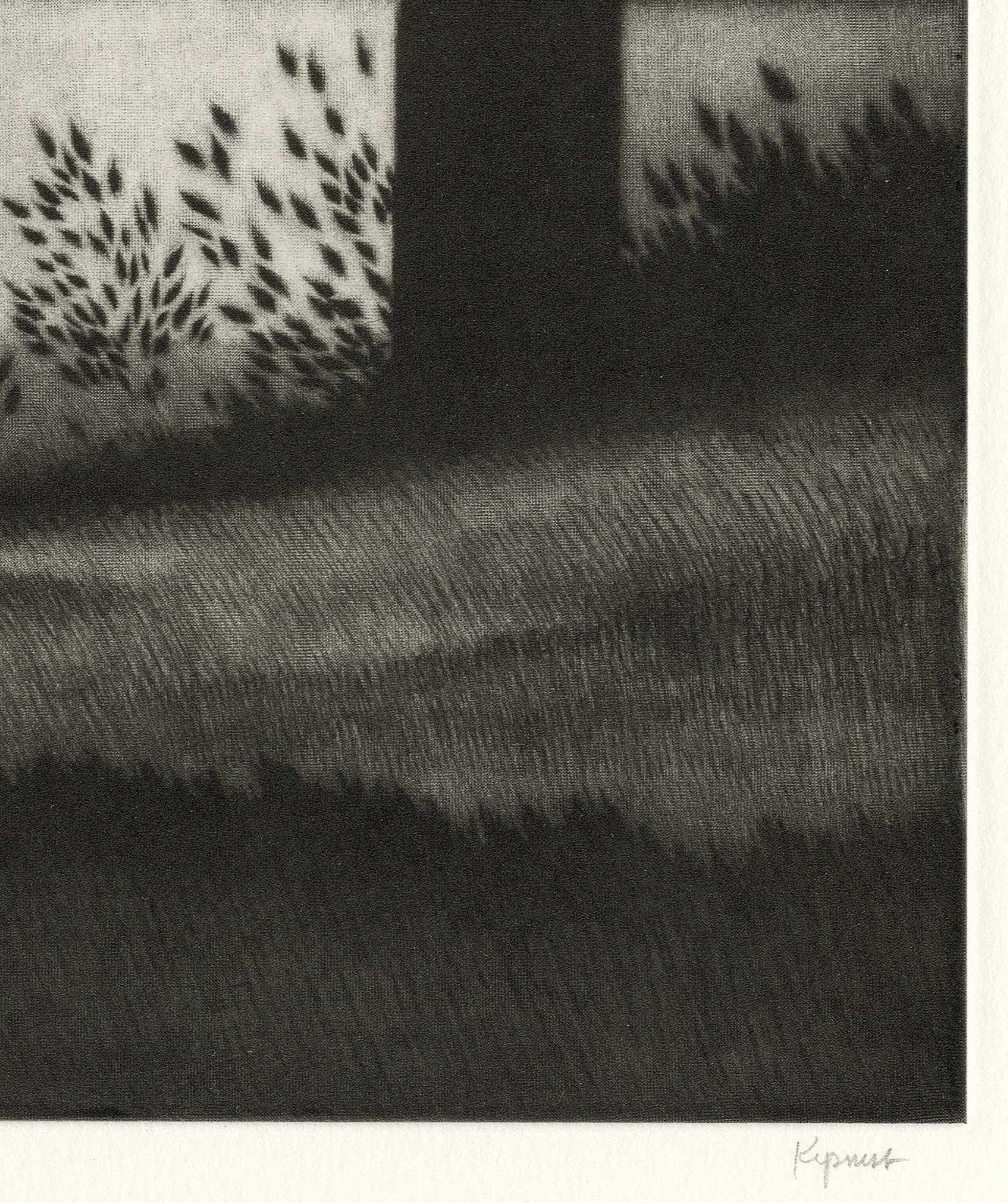 Evening with White Porch (a calm suburban setting) - Black Still-Life Print by Robert Kipniss
