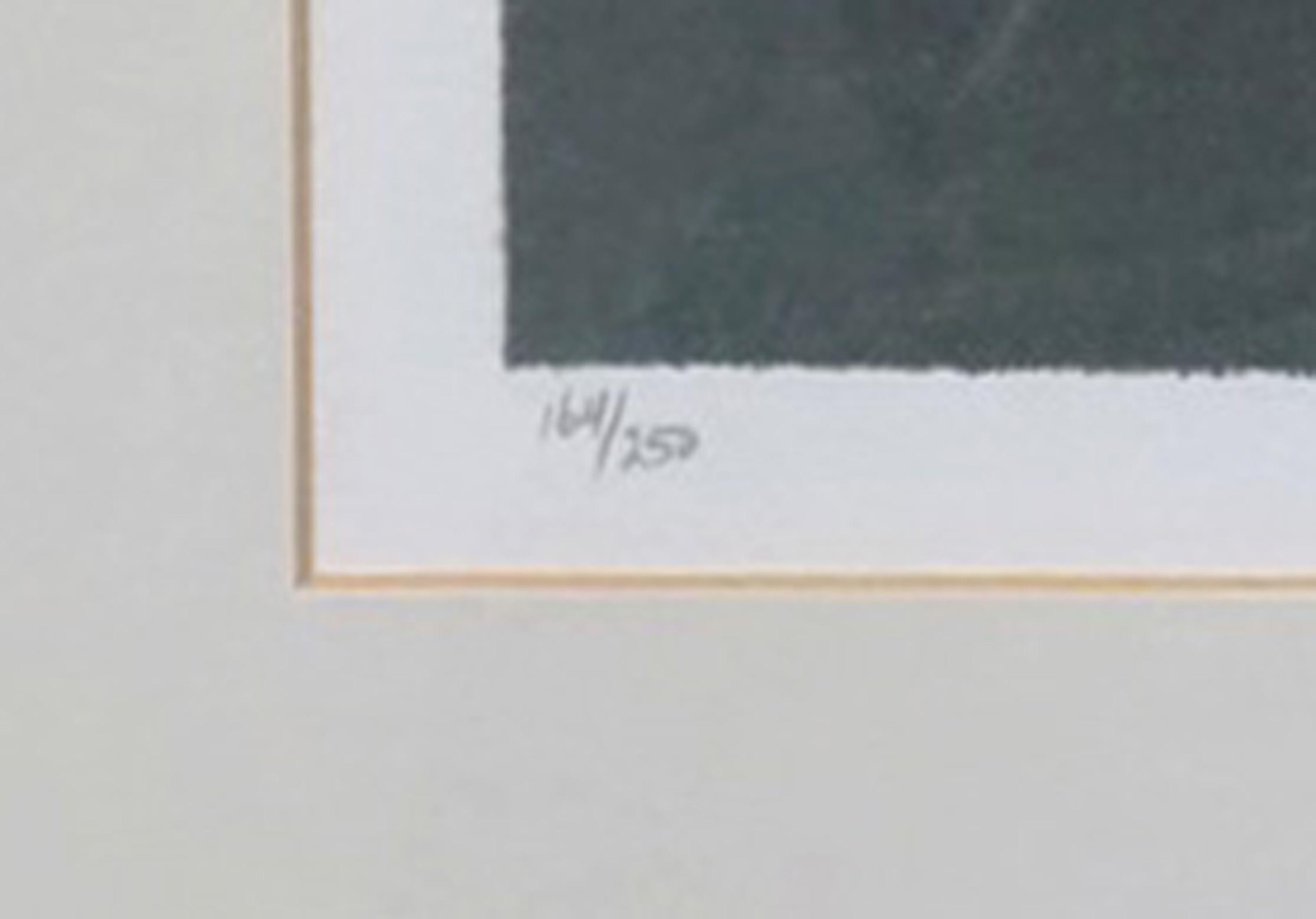 Primeras sombras, litografía moderna de Robert Kipniss en venta 2
