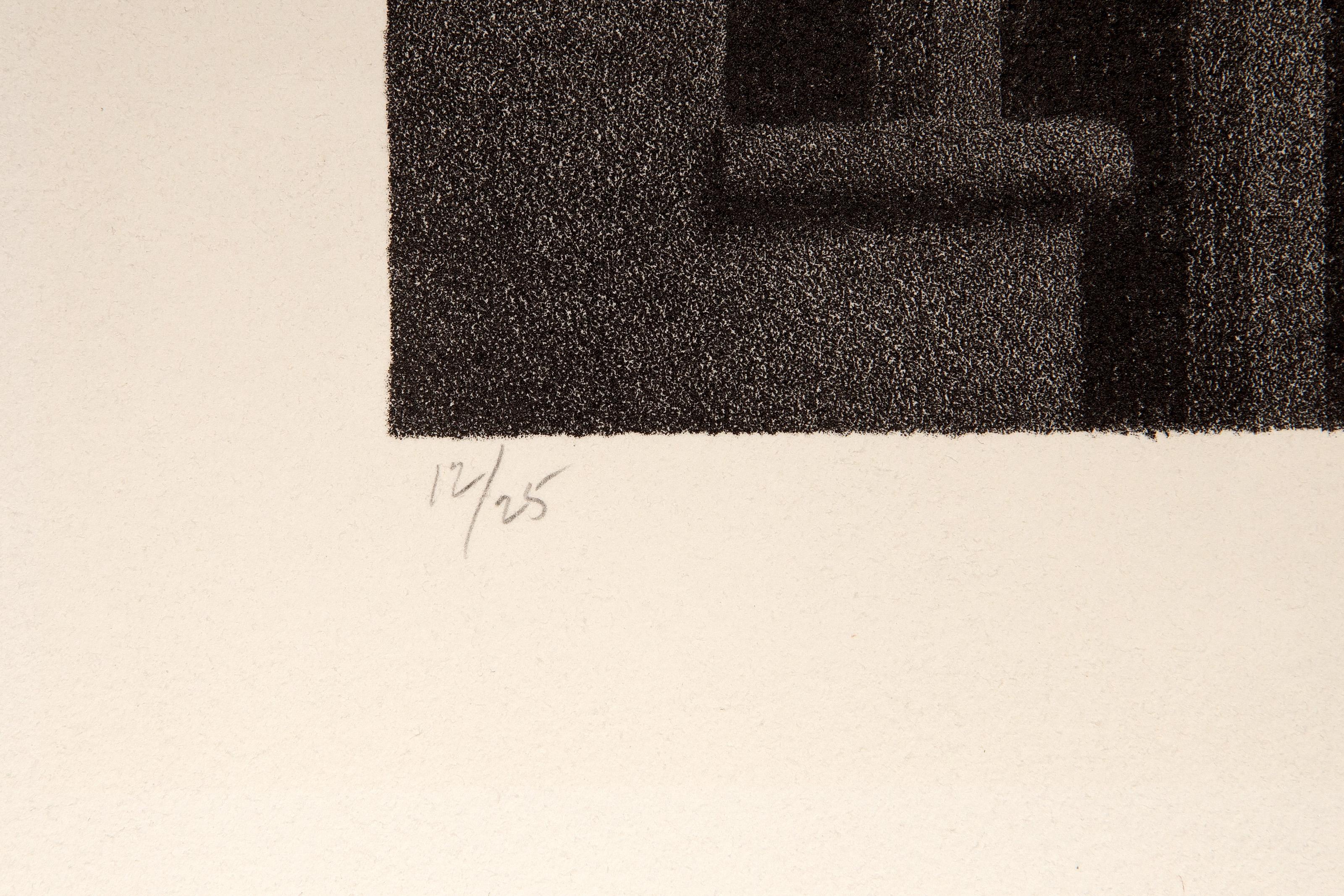 Hillside Place, litografia moderna di Robert Kipniss in vendita 3