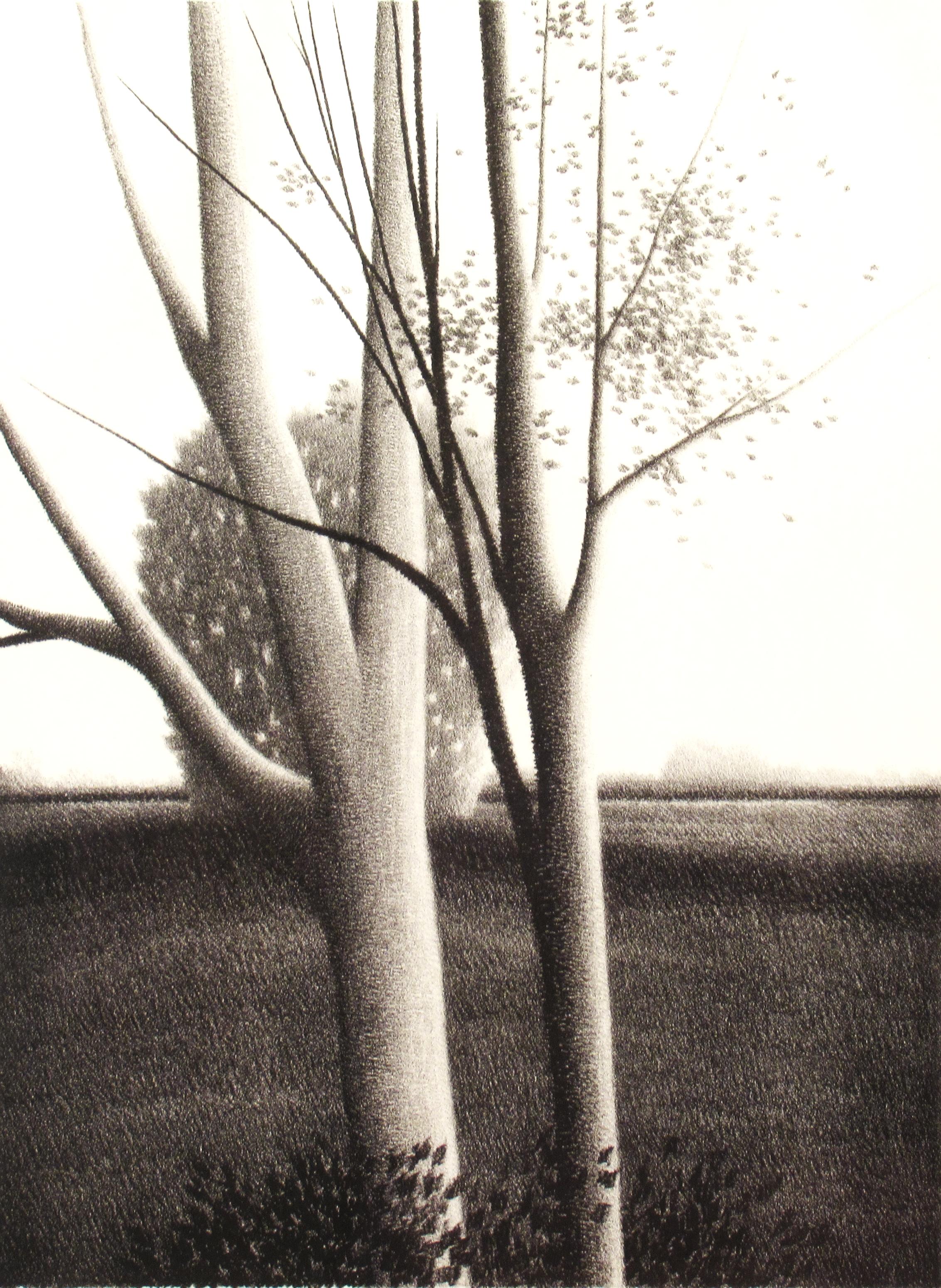 Landscape with Trees - Print by Robert Kipniss