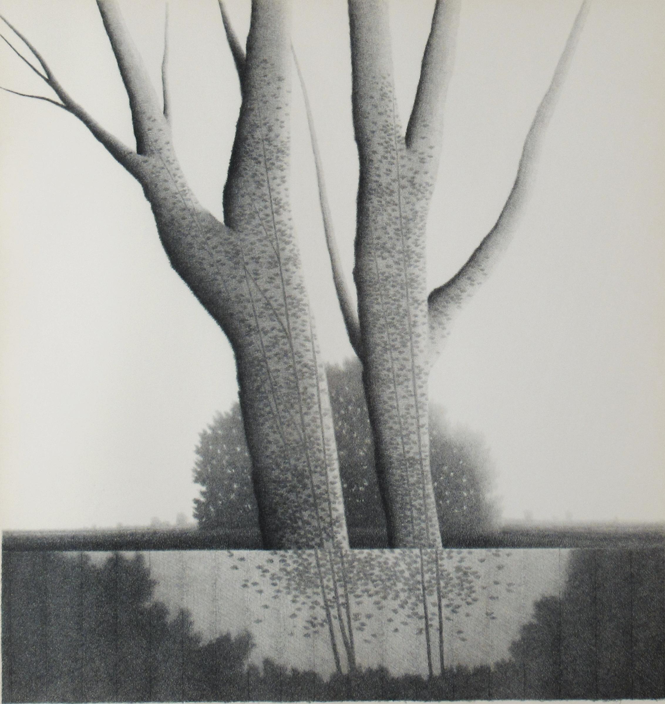 Silver Trees - Print by Robert Kipniss