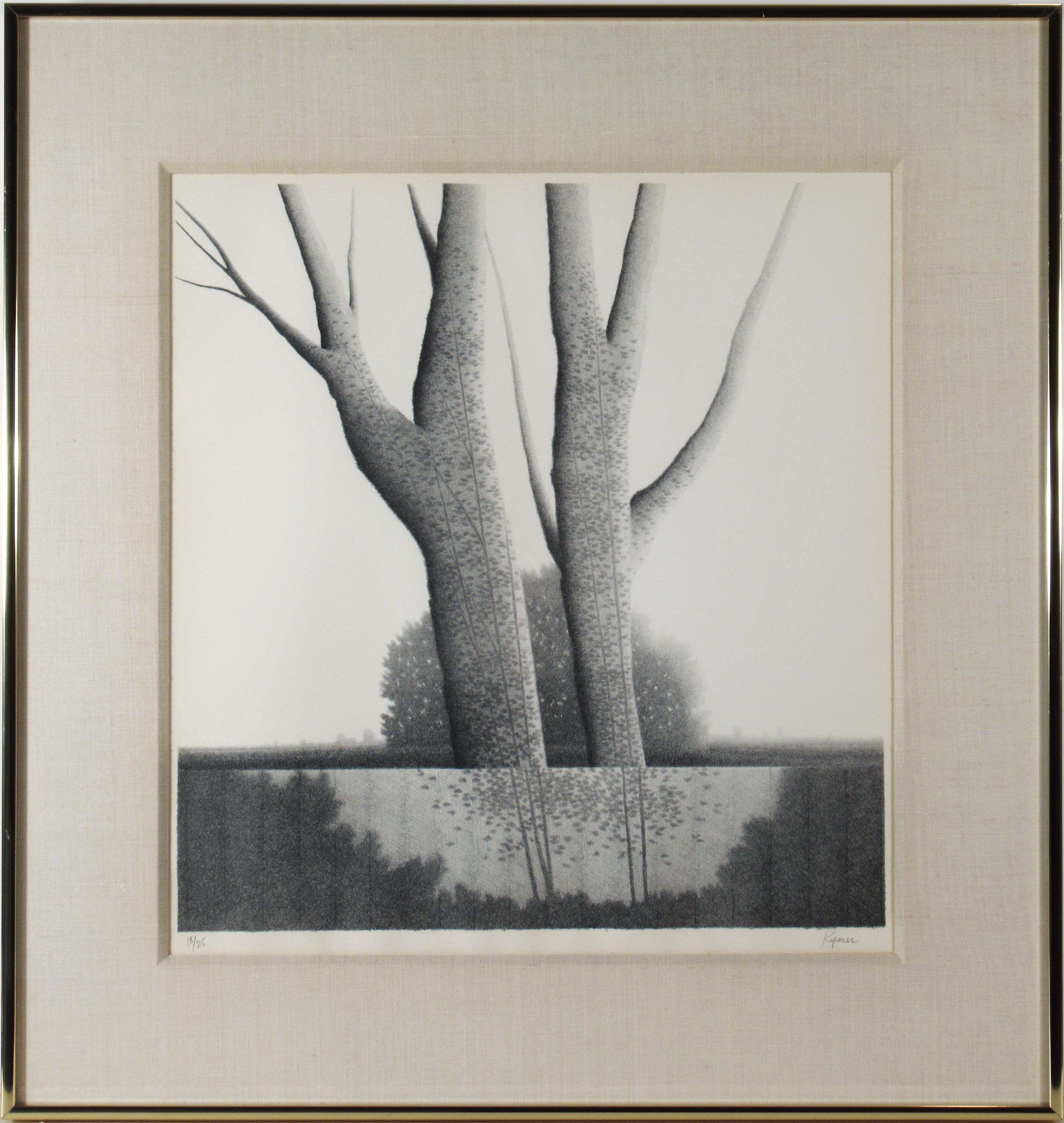 Robert Kipniss Landscape Print - Silver Trees