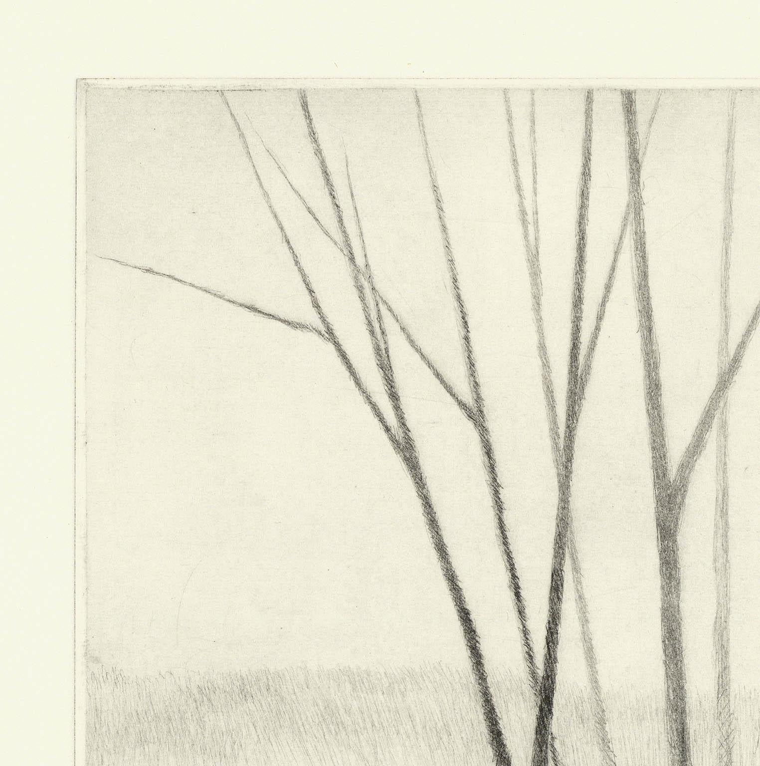 Schräggang mit fünf Bäumen (Beige), Print, von Robert Kipniss