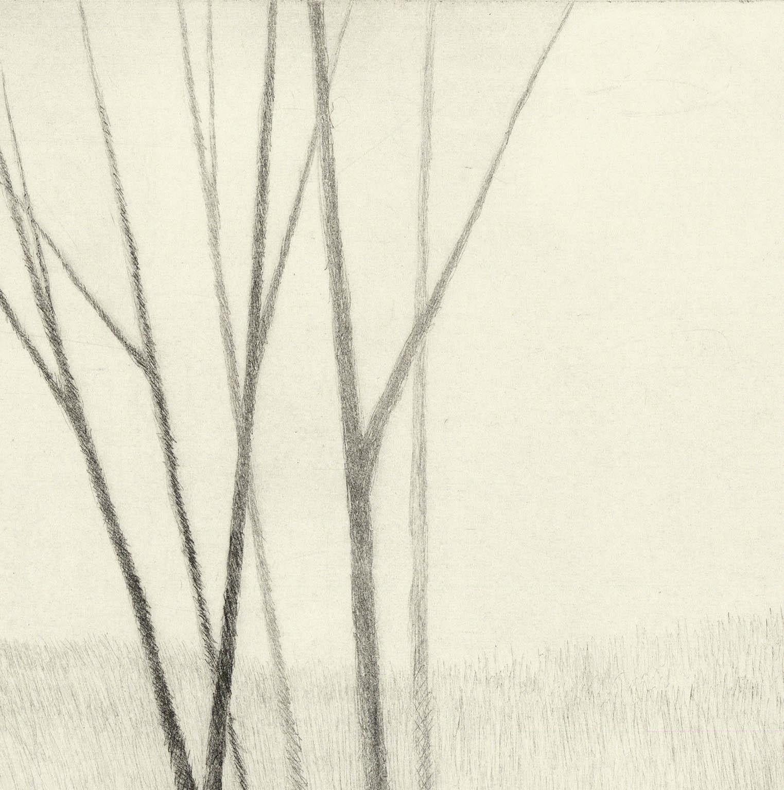 “Slope w/five trees” is a drypoint engraving created by Robert Kipniss in 2020. The paper size is 12.50 x 10.50 inches and the printed image size is 6.75 x 6 inches. This impression is signed in pencil and inscribed 