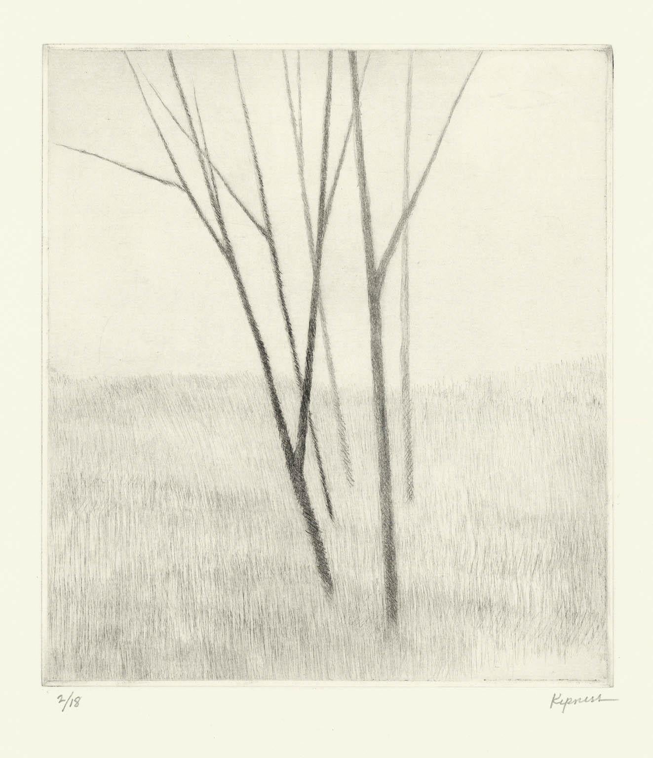 Slope w.five trees - Modern Print by Robert Kipniss