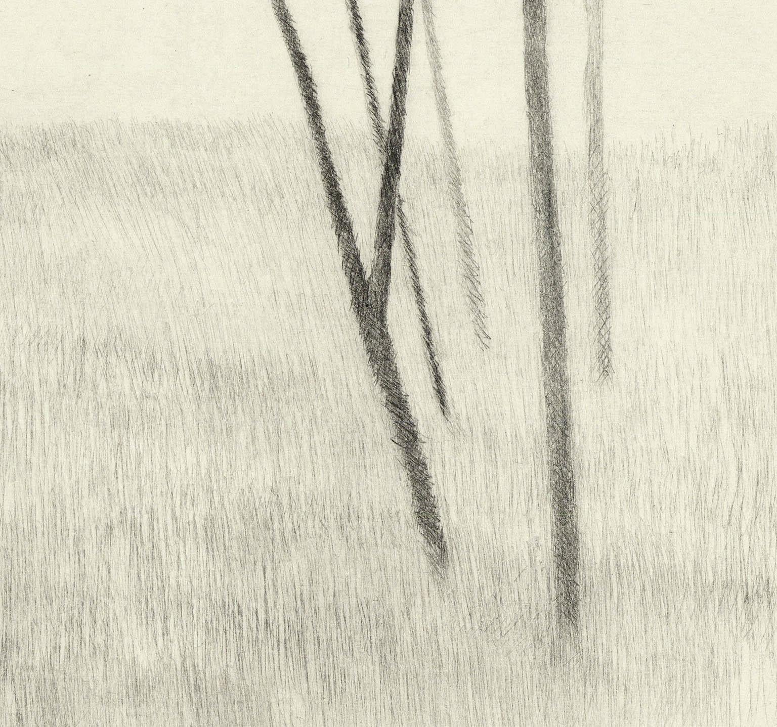 Slope w.five trees - Beige Print by Robert Kipniss