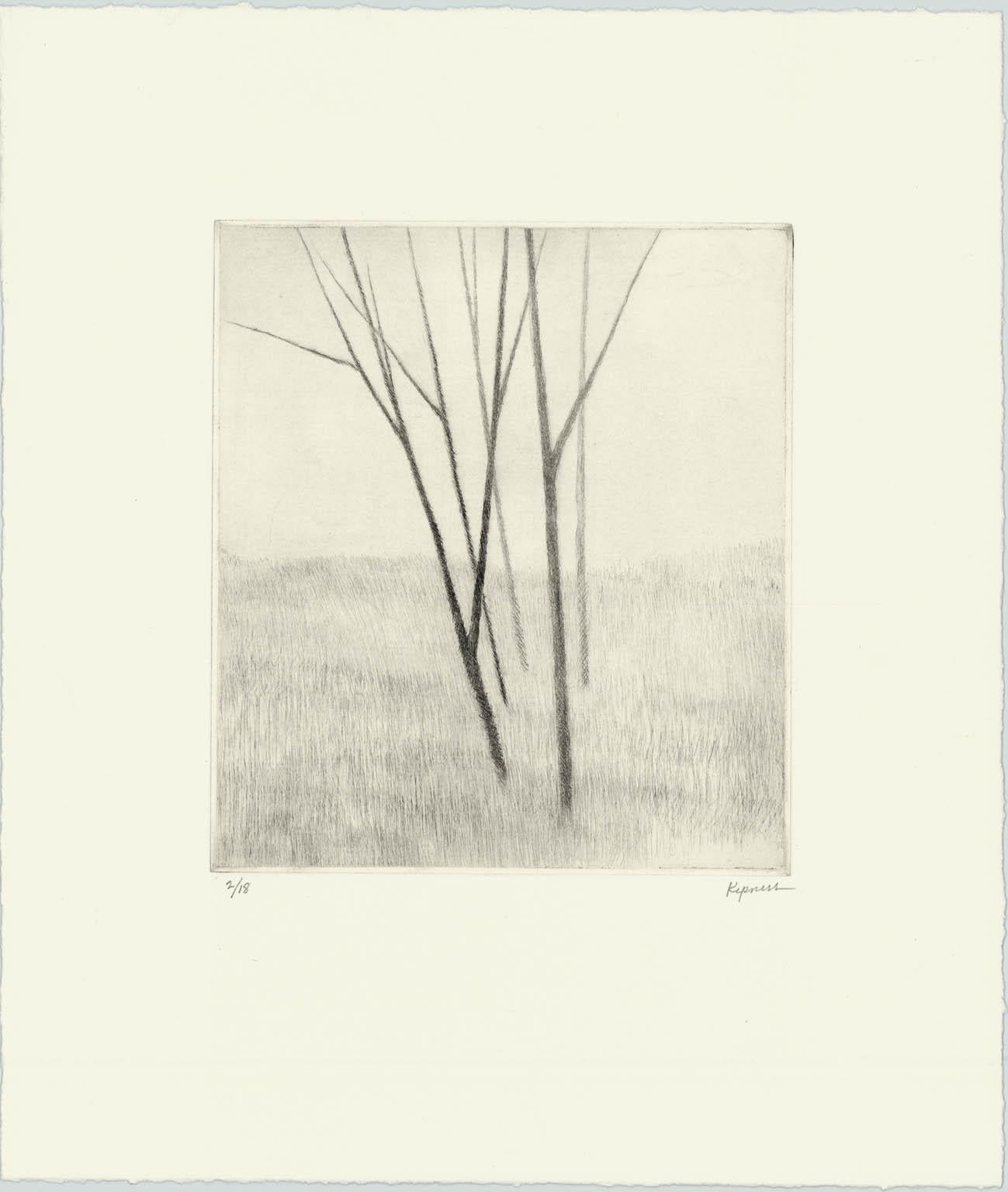 Robert Kipniss Print – Schräggang mit fünf Bäumen