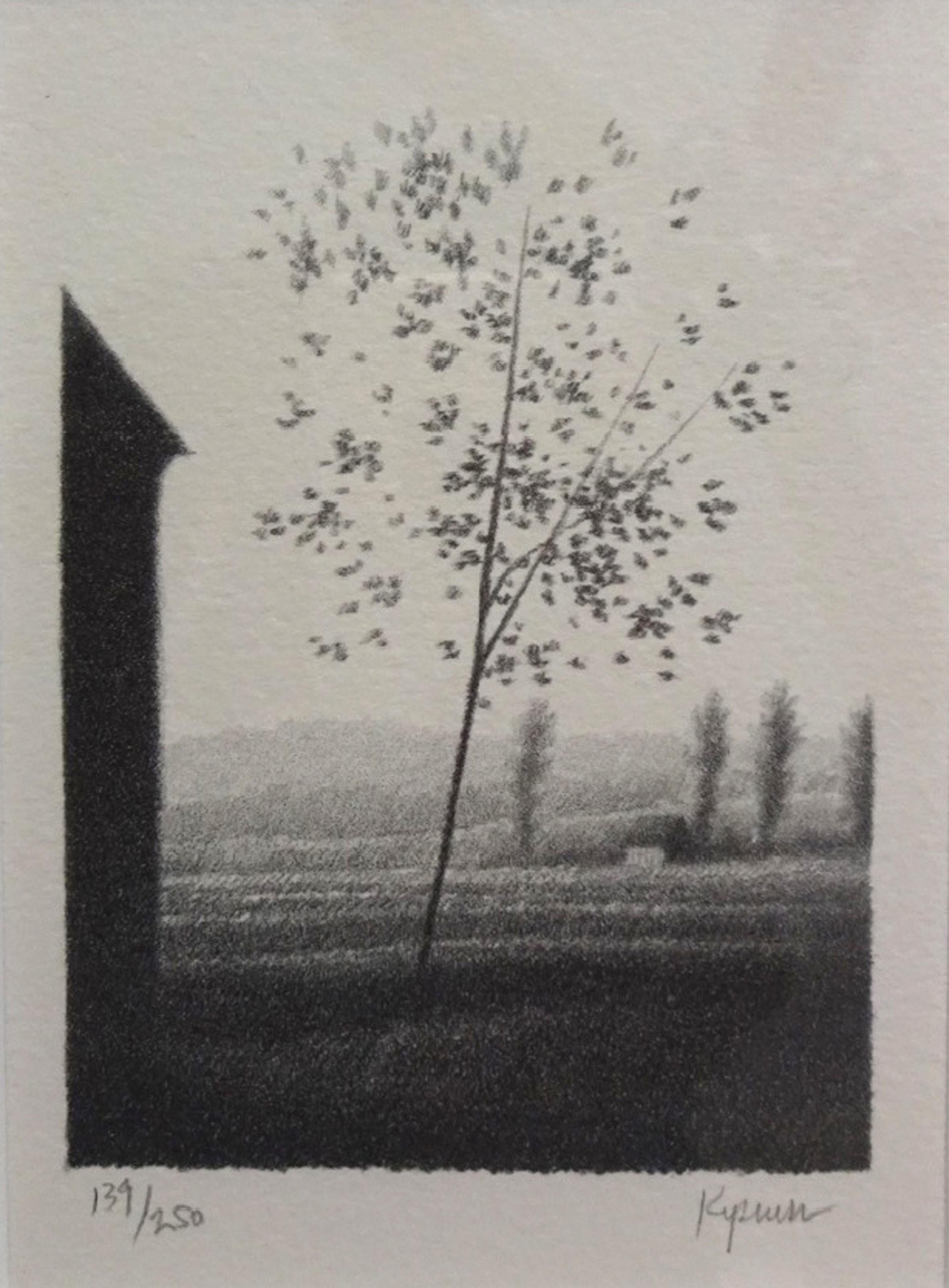 Pequeños campos, litografía moderna de Robert Kipniss en venta 1