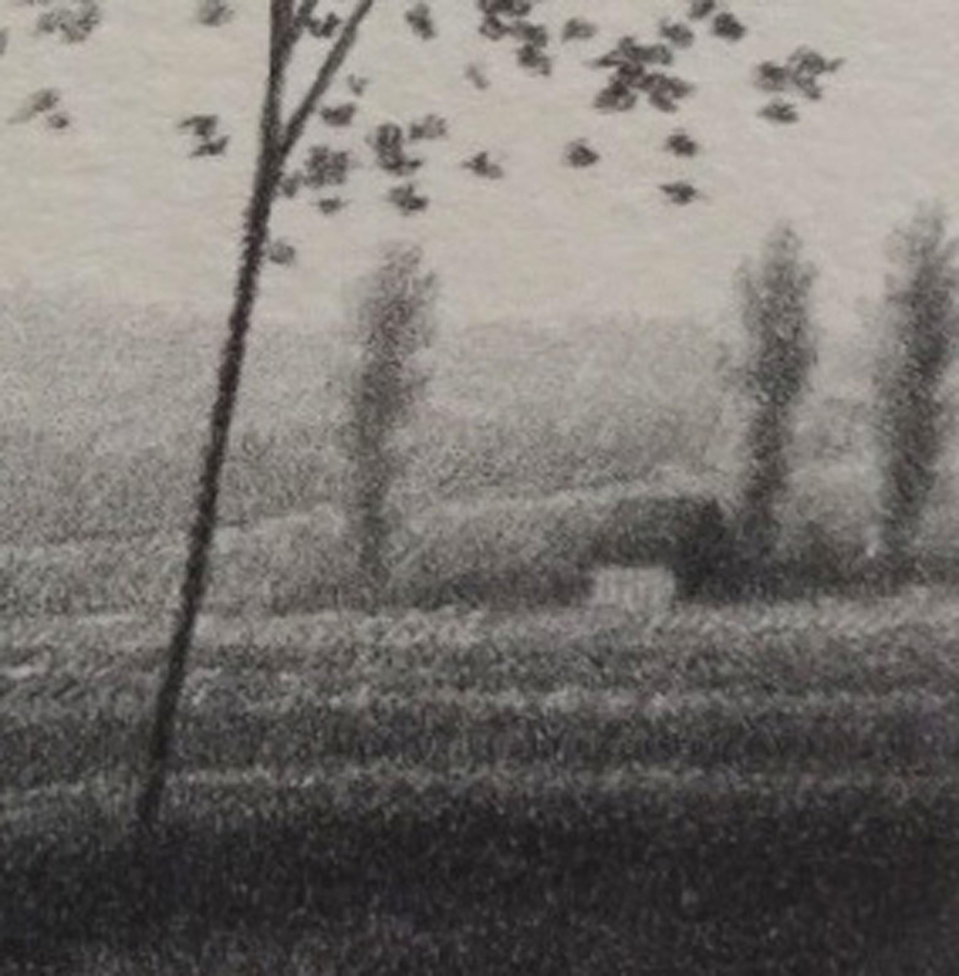 Pequeños campos, litografía moderna de Robert Kipniss en venta 2