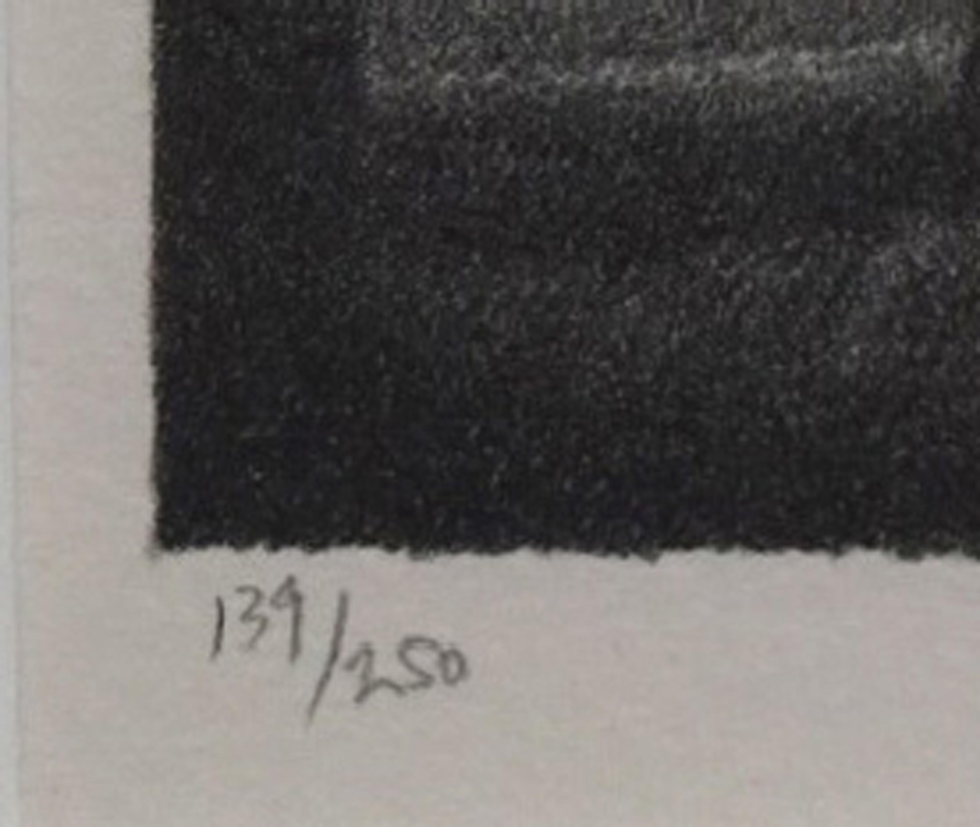 Pequeños campos, litografía moderna de Robert Kipniss en venta 3