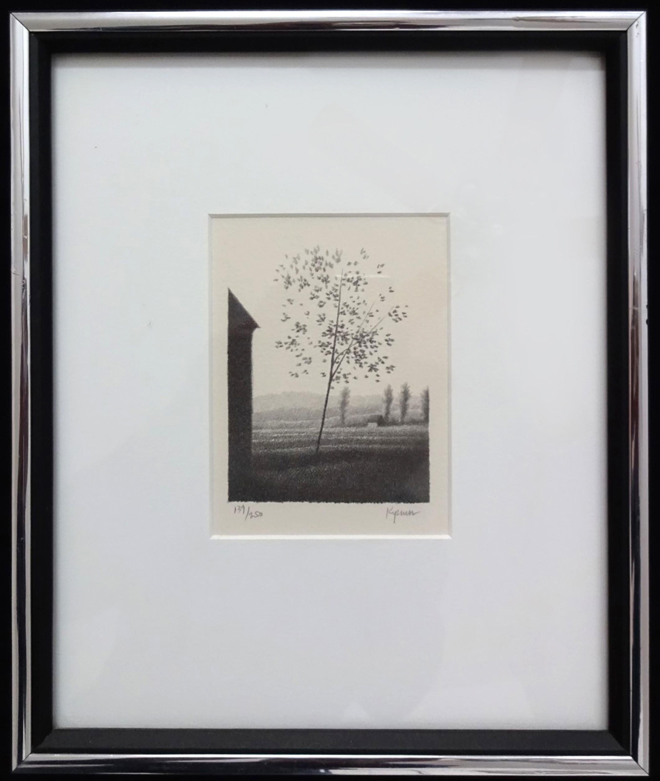 Campos pequeños
Robert Kipniss, estadounidense (1931)
Fecha: hacia 1980
Litografía, firmada y numerada a lápiz
Edición de 139/250
Tamaño: 10,16 x 8,255 cm (4 x 3,25 pulg.)
Tamaño del marco: 11,25 x 9,5 pulgadas