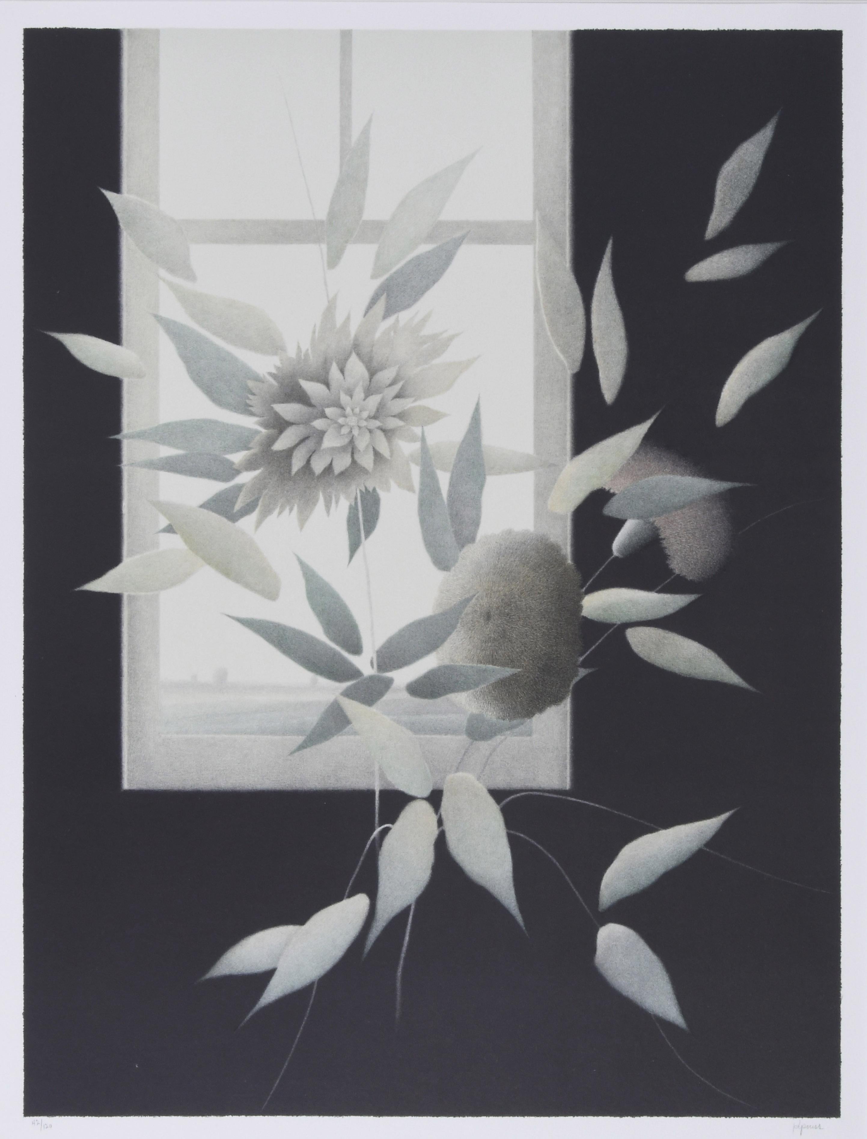 Studio Flores