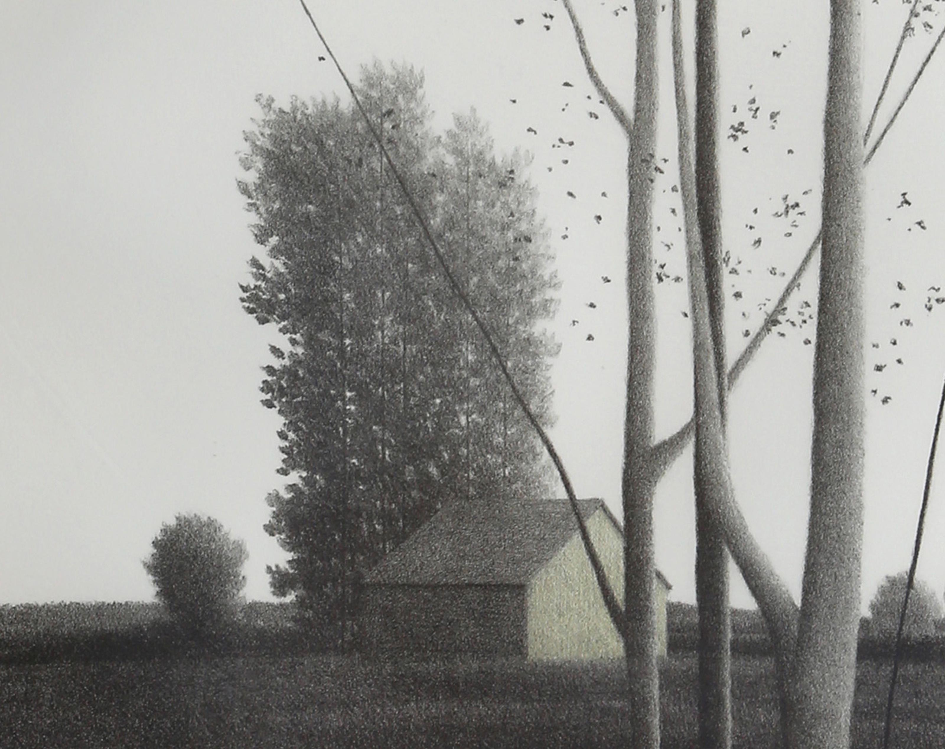 Tall Skinny Trees, Modern Lithograph by Robert Kipniss For Sale 1