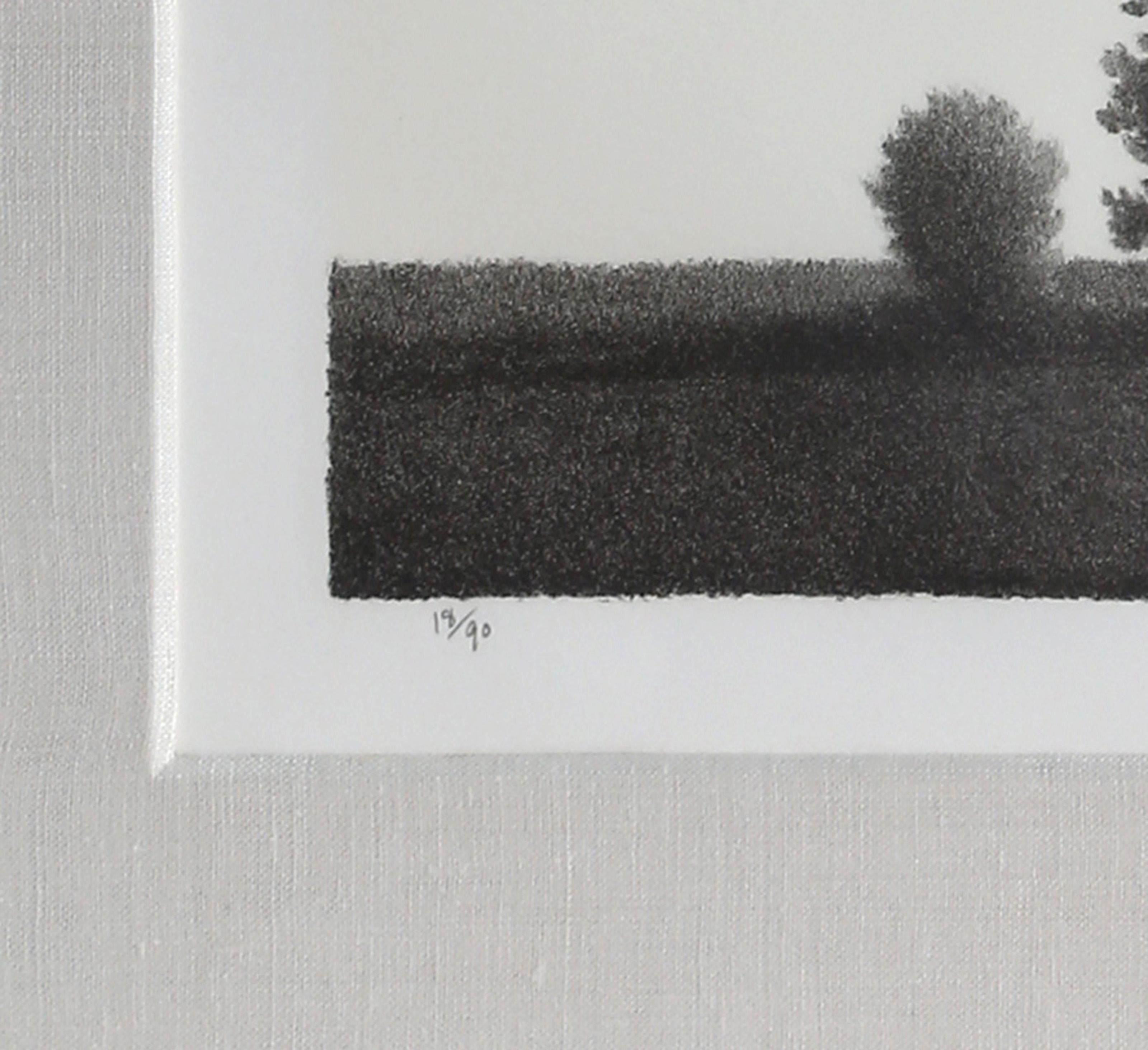 Tall Skinny Trees, Modern Lithograph by Robert Kipniss For Sale 2