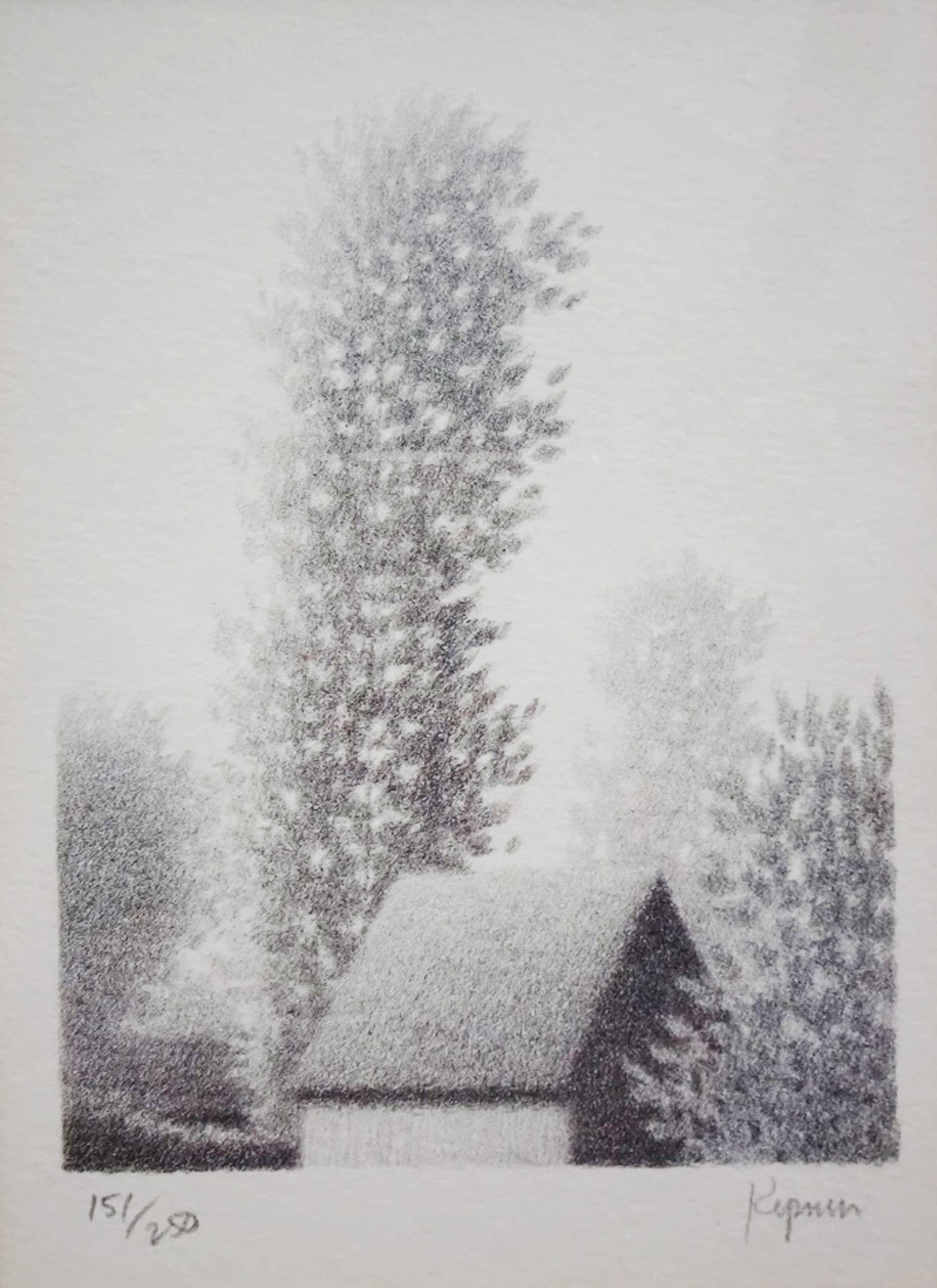 Vento dell'Ovest, litografia moderna di Robert Kipniss in vendita 1