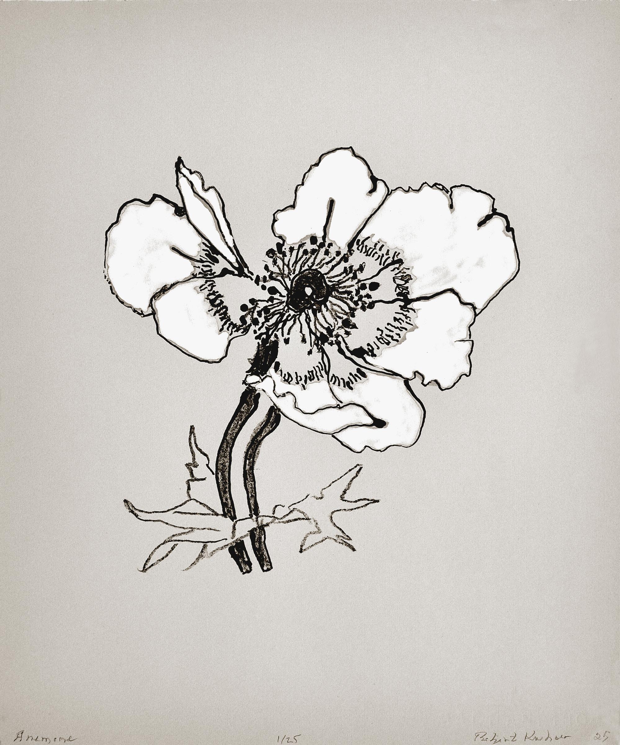 "Anémone