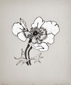 Estampes - Nature morte - Lithographie