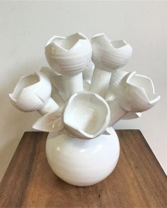 Coral Reef