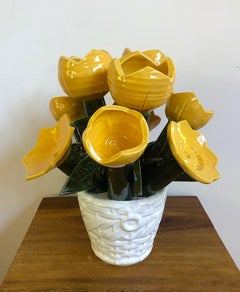 Sun Basket #6