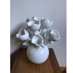 White Coral