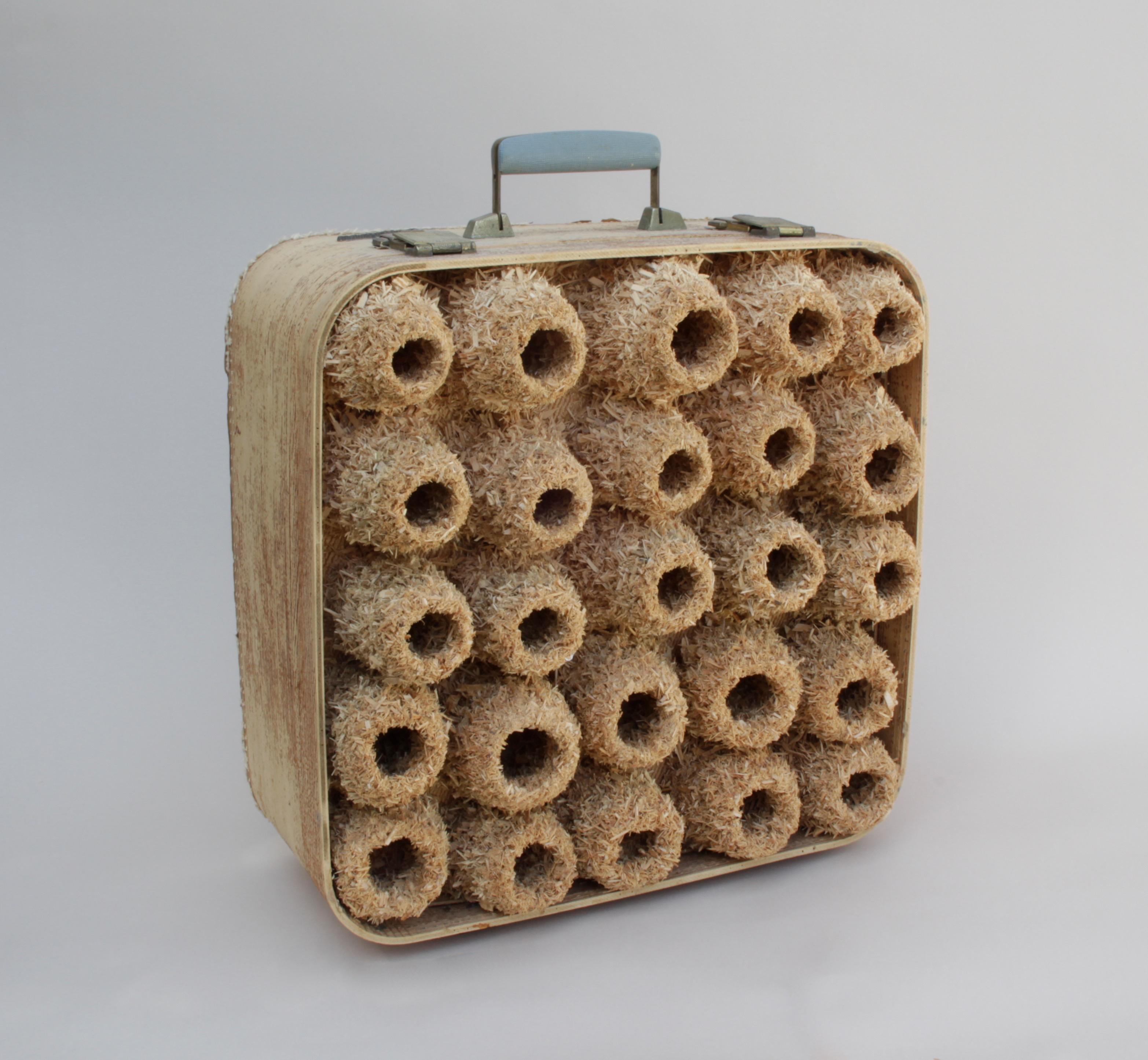 Robert Lach Figurative Sculpture - Surreal sculpture, nest, suitcase: 'Colony III'