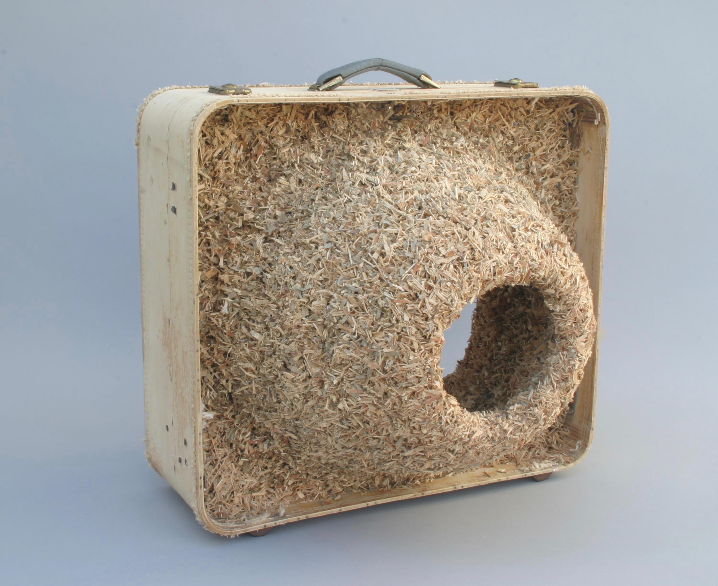 Robert Lach Abstract Sculpture - Surreal sculpture, suitcase & nest: 'Colony IV'