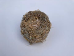 Recycled sculpture: 'Nest 3'