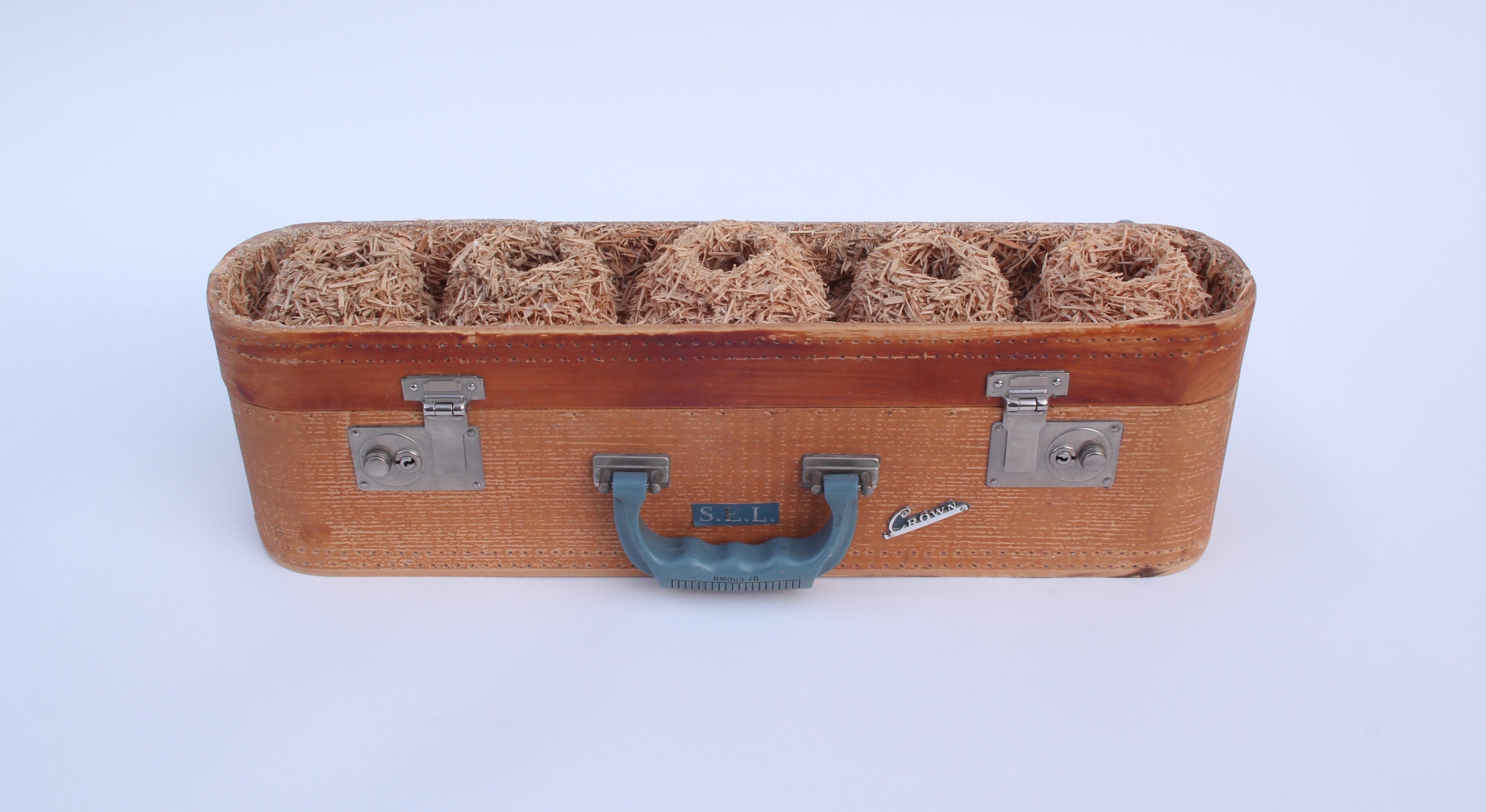 Robert Lach Still-Life Sculpture - Upcycled sculpture: 'SEL's Nestbox'