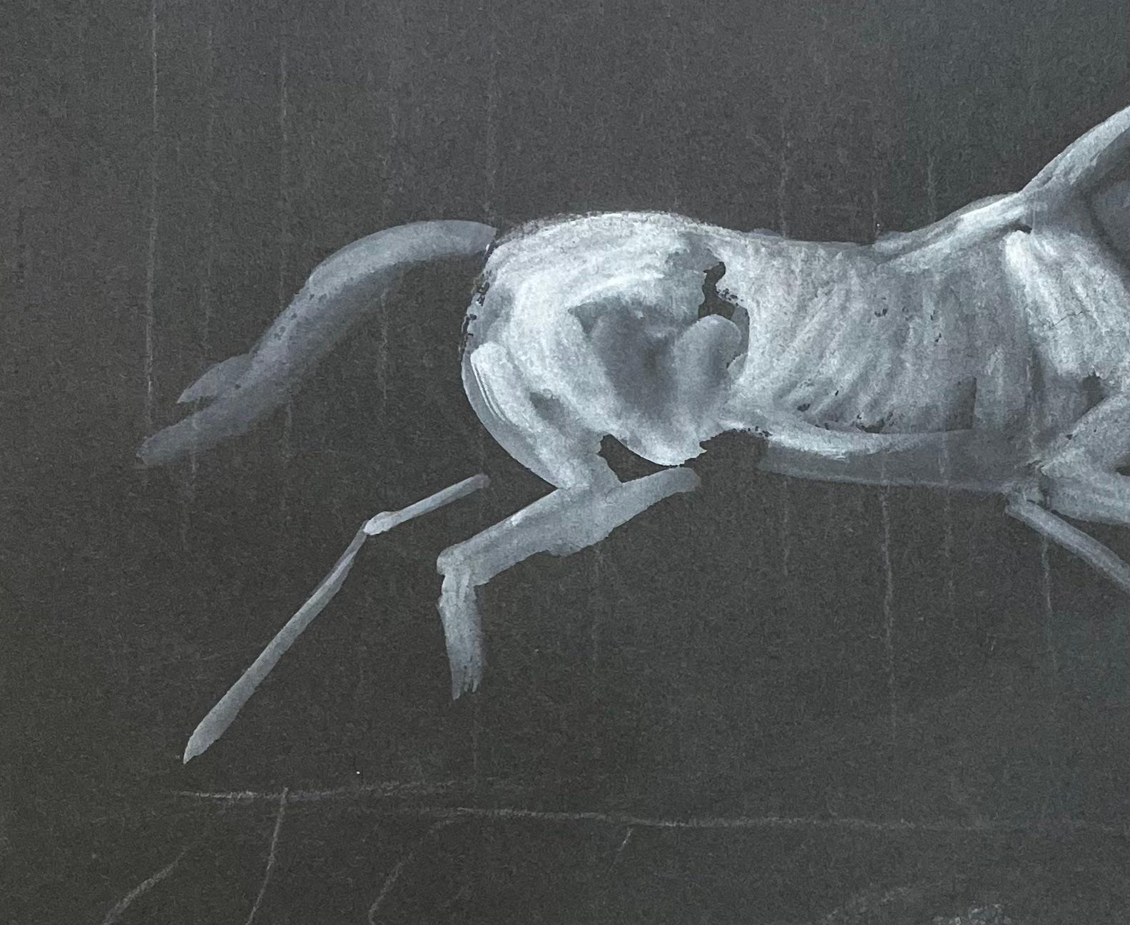 Title: Monochrome Watercolour Study of the Anatomy of a Horse on Black Paper

Artist: Robert Ladou (French, 1929-2014)
Medium: Watercolour on black paper
Size: 7 (Height) x 9.5 (Width)
Signed: No
Condition: Good condition
Provenance: From the