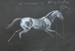 Monochrome Watercolour Study of the Anatomy of a Horse on Black Paper