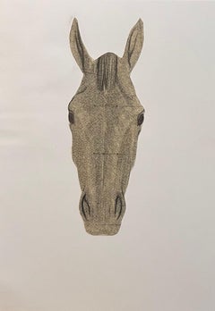 Original französische anatomische Frontalansichtstudie eines Pferdekopfes