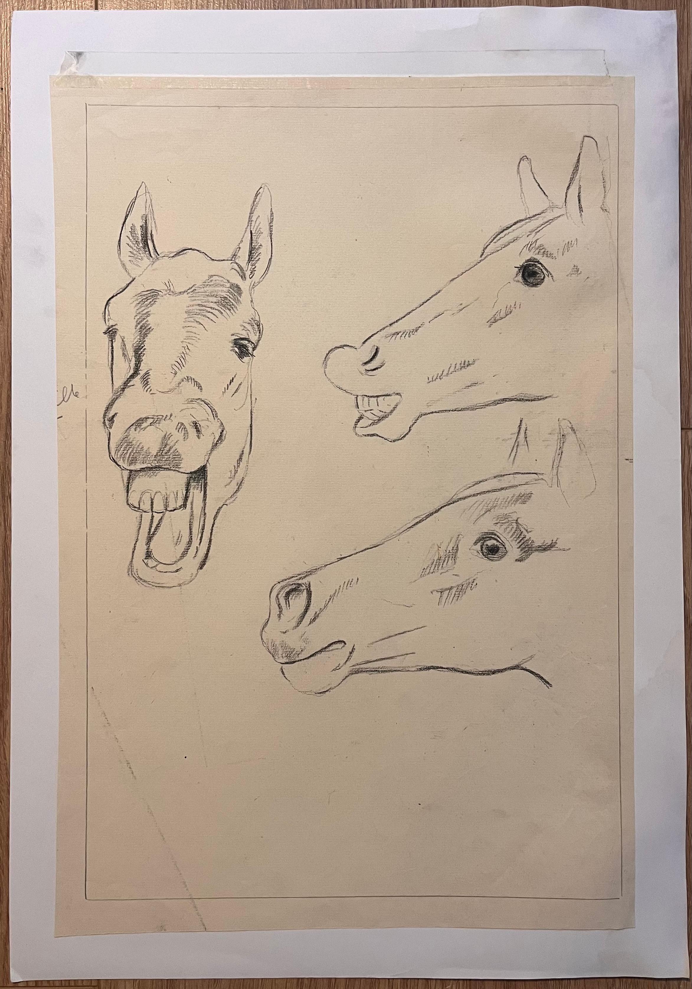 Original französische anatomische Bleistiftstudie zur Erforschung des Ausdrucks von Pferden – Art von Robert Ladou
