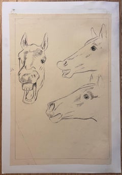 Original French Anatomical Pencil Study Exploring Horse's Expressions
