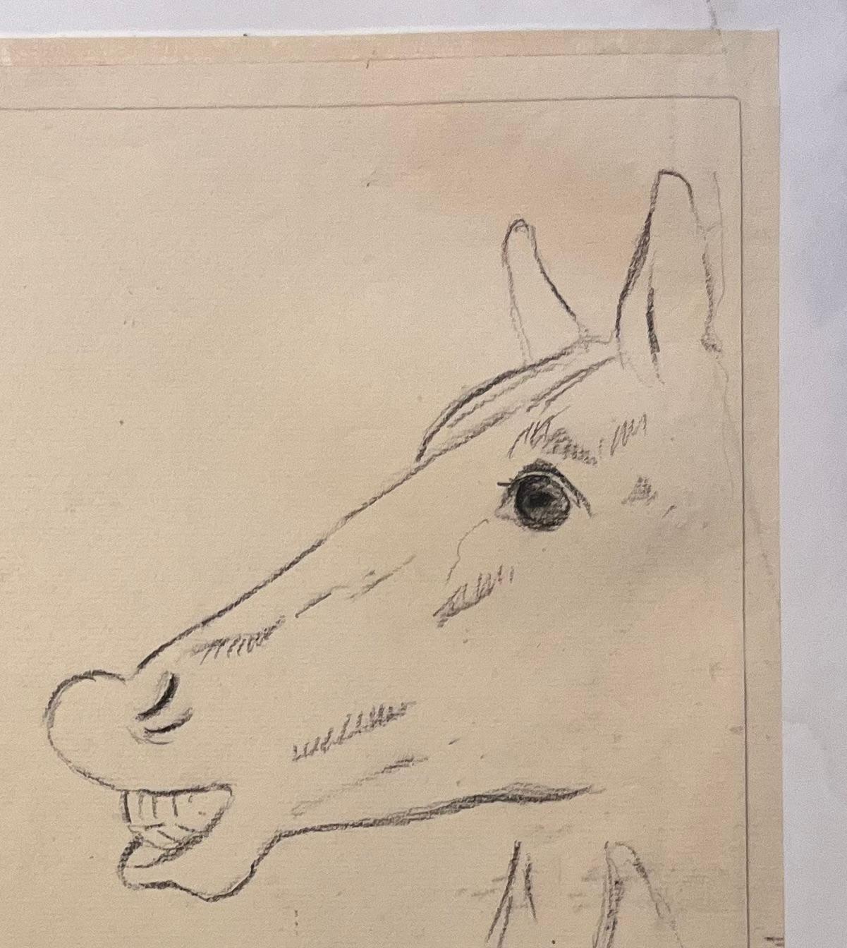 Original französische anatomische Bleistiftstudie zur Erforschung des Ausdrucks von Pferden (Akademisch), Art, von Robert Ladou