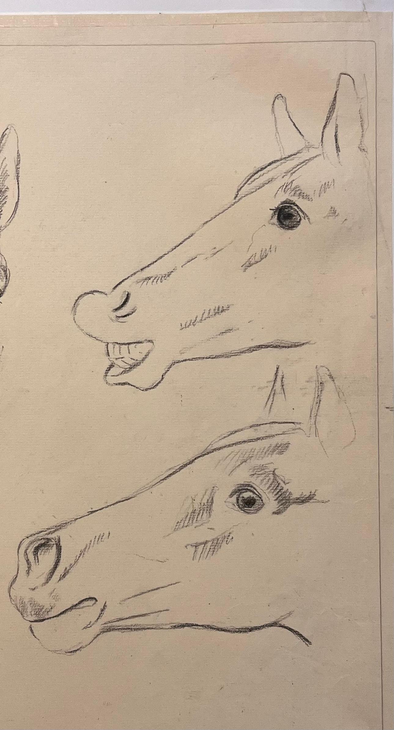 Original französische anatomische Bleistiftstudie zur Erforschung des Ausdrucks von Pferden (Beige), Animal Art, von Robert Ladou