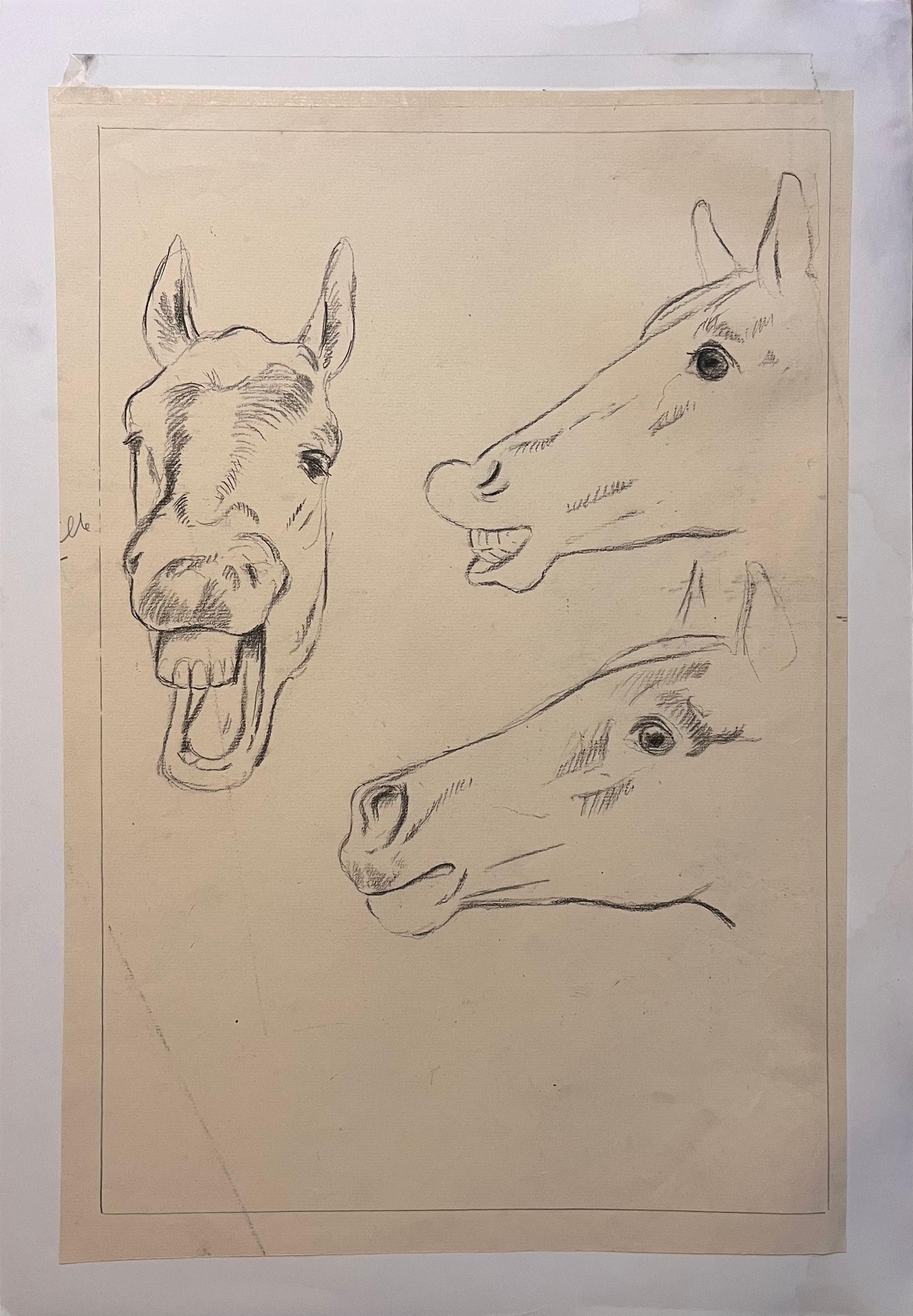 Étude originale au crayon anatomique français explorant les expressions des chevaux