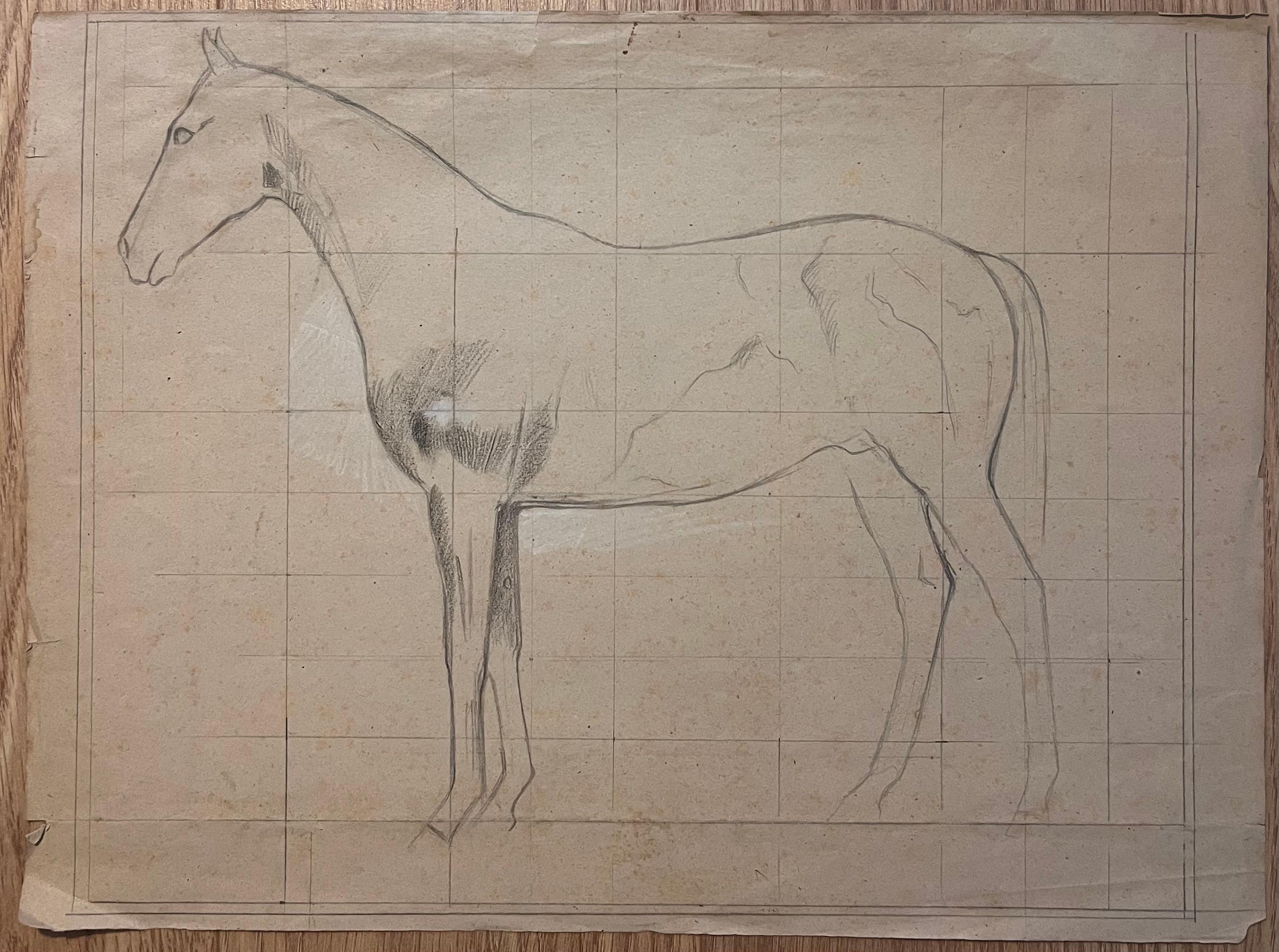 Original French Anatomical Pencil Study of a Horse in Profile - Art by Robert Ladou