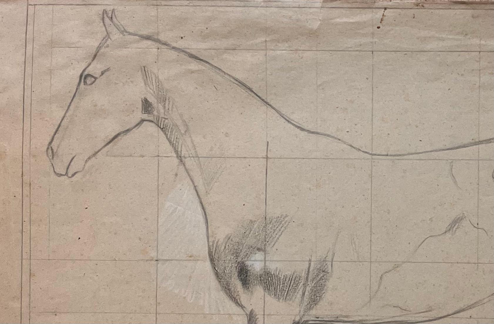 Original French Anatomical Pencil Study of a Horse in Profile - Academic Art by Robert Ladou