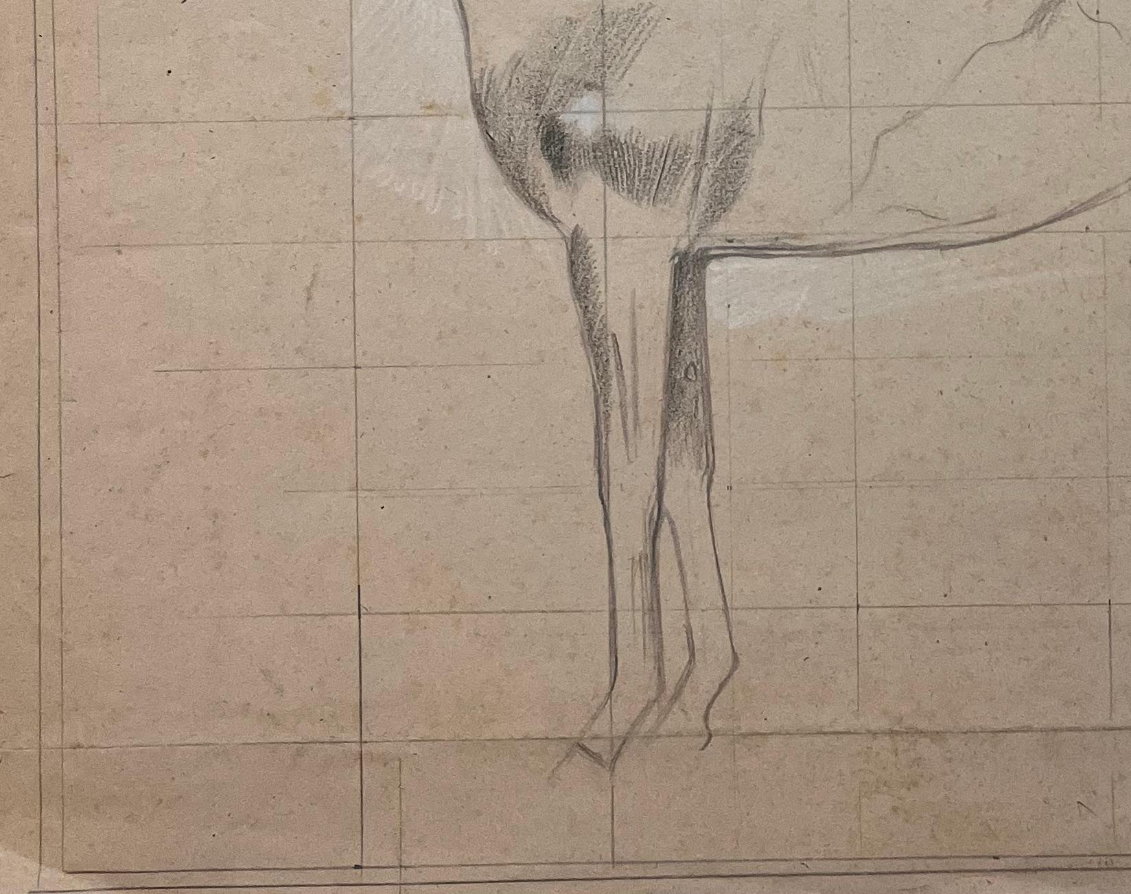 Original French Anatomical Pencil Study of a Horse in Profile - Brown Animal Art by Robert Ladou