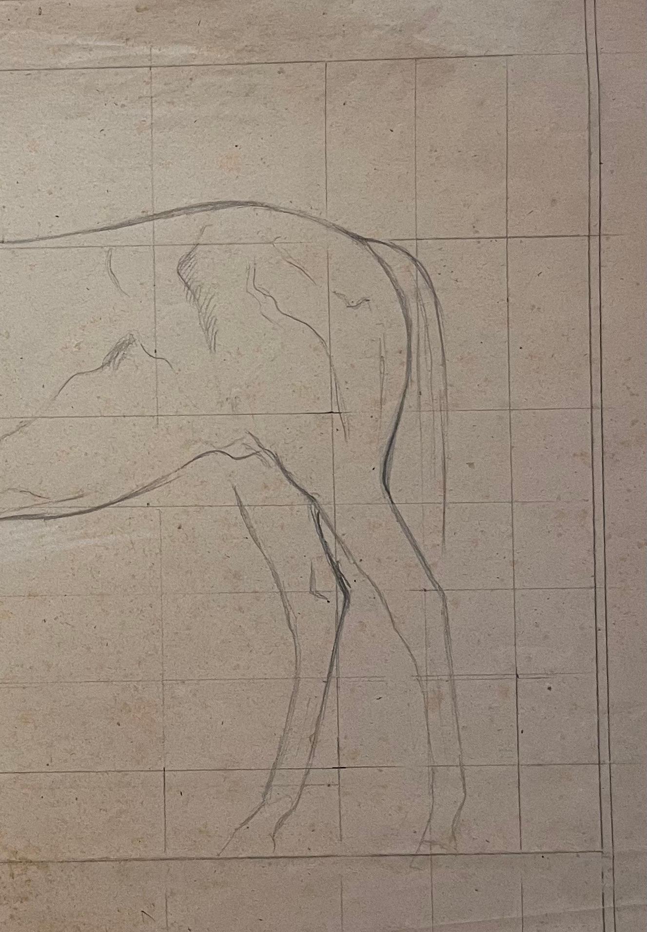 Title: Original French Anatomical Pencil Study of a Horse in Profile
Artist: Robert Ladou (French, 1929-2014)
Medium: Pencil on Paper
Size: 14.25 (Height) x 19.25 (Width)
Signed: No
Condition: Good, with minor signs of wear and foxing.
Provenance: