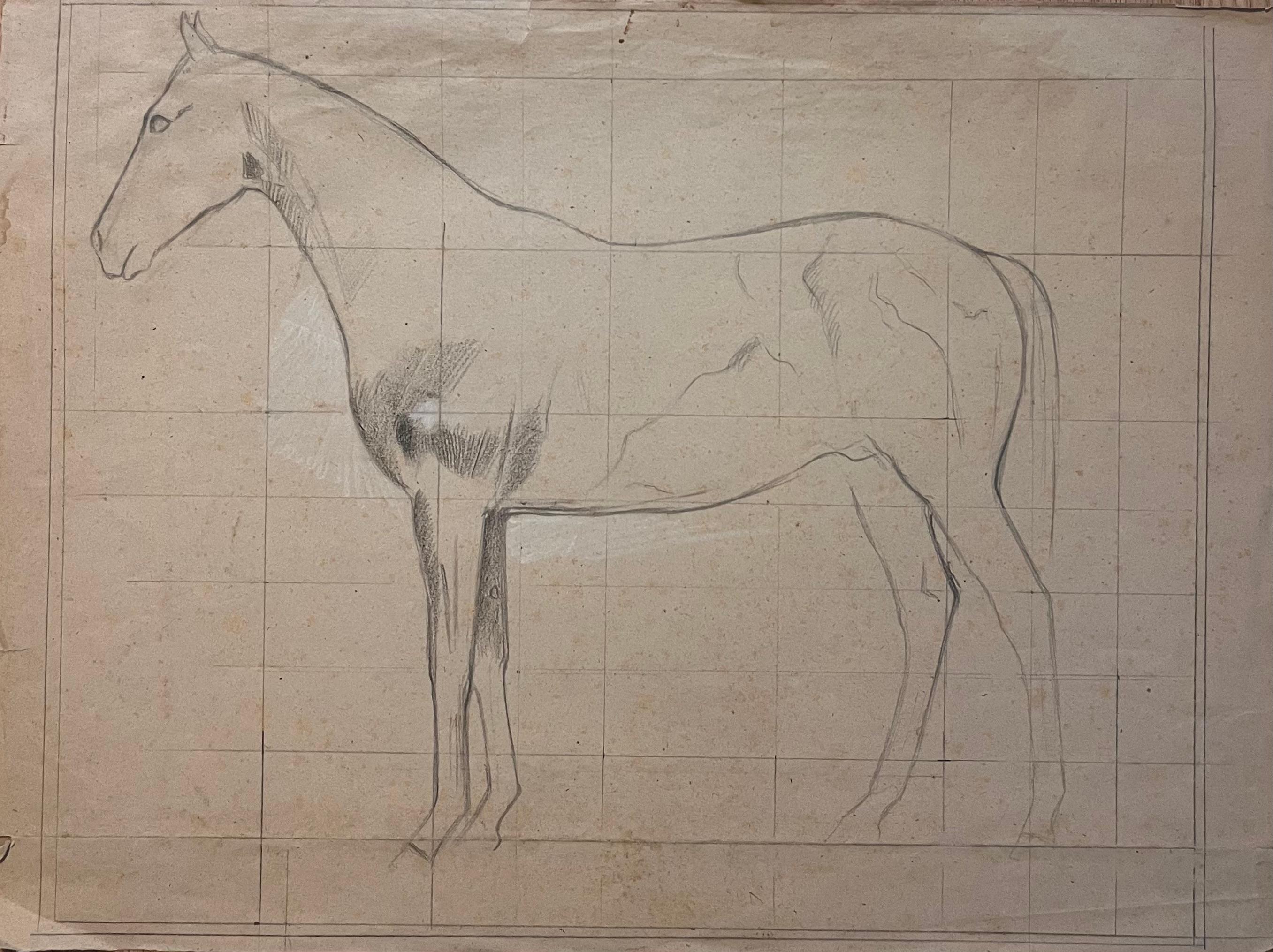 Robert Ladou Animal Art - Original French Anatomical Pencil Study of a Horse in Profile