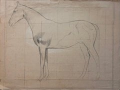 Étude anatomique française originale au crayon d'un cheval de profil