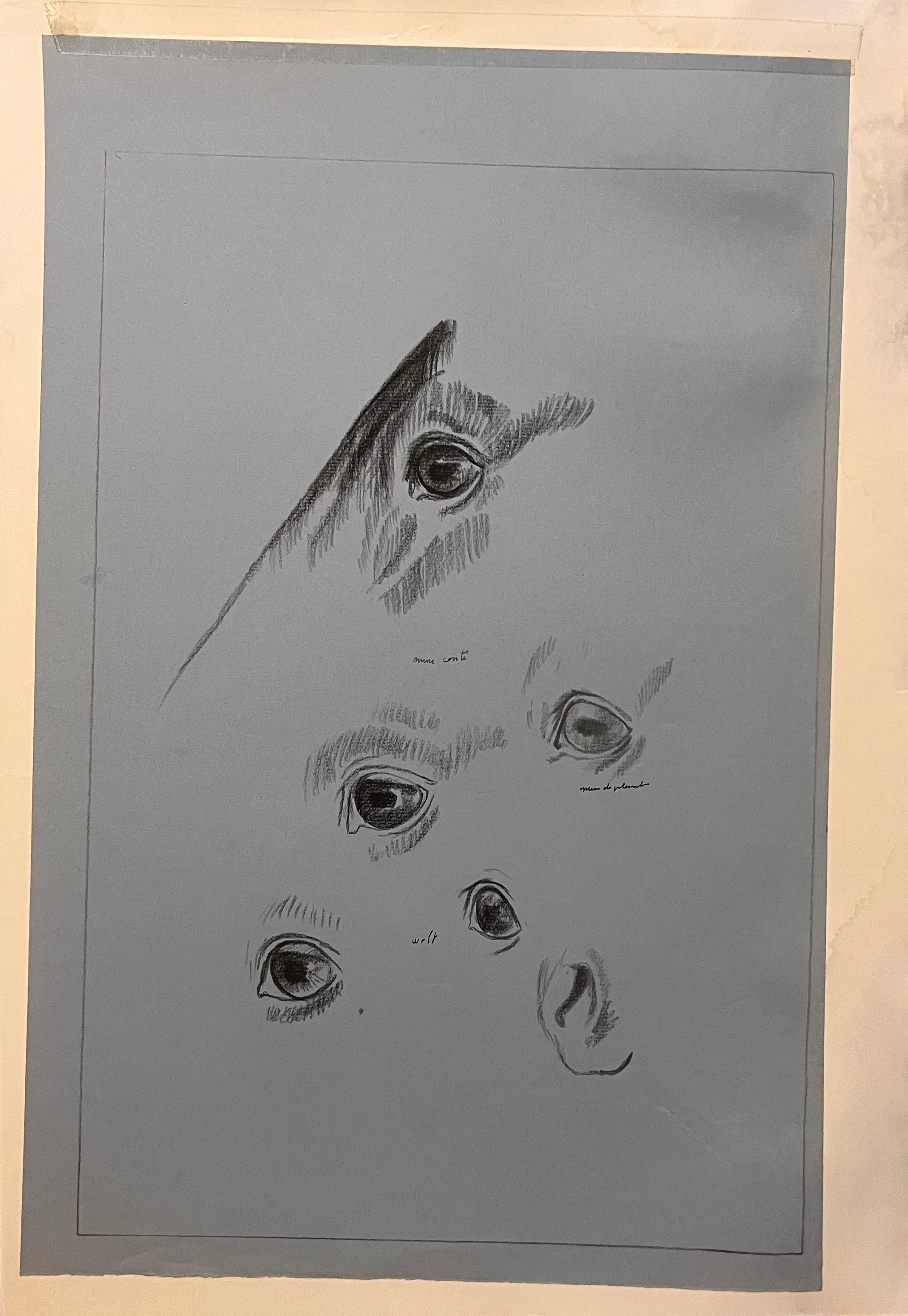 Animal Art di Robert Ladou - Studio anatomico a matita originale francese degli occhi e del naso di un cavallo