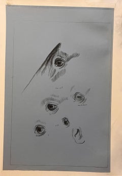 Original französische anatomische Bleistiftstudie der Augen und der Nase eines Pferdes