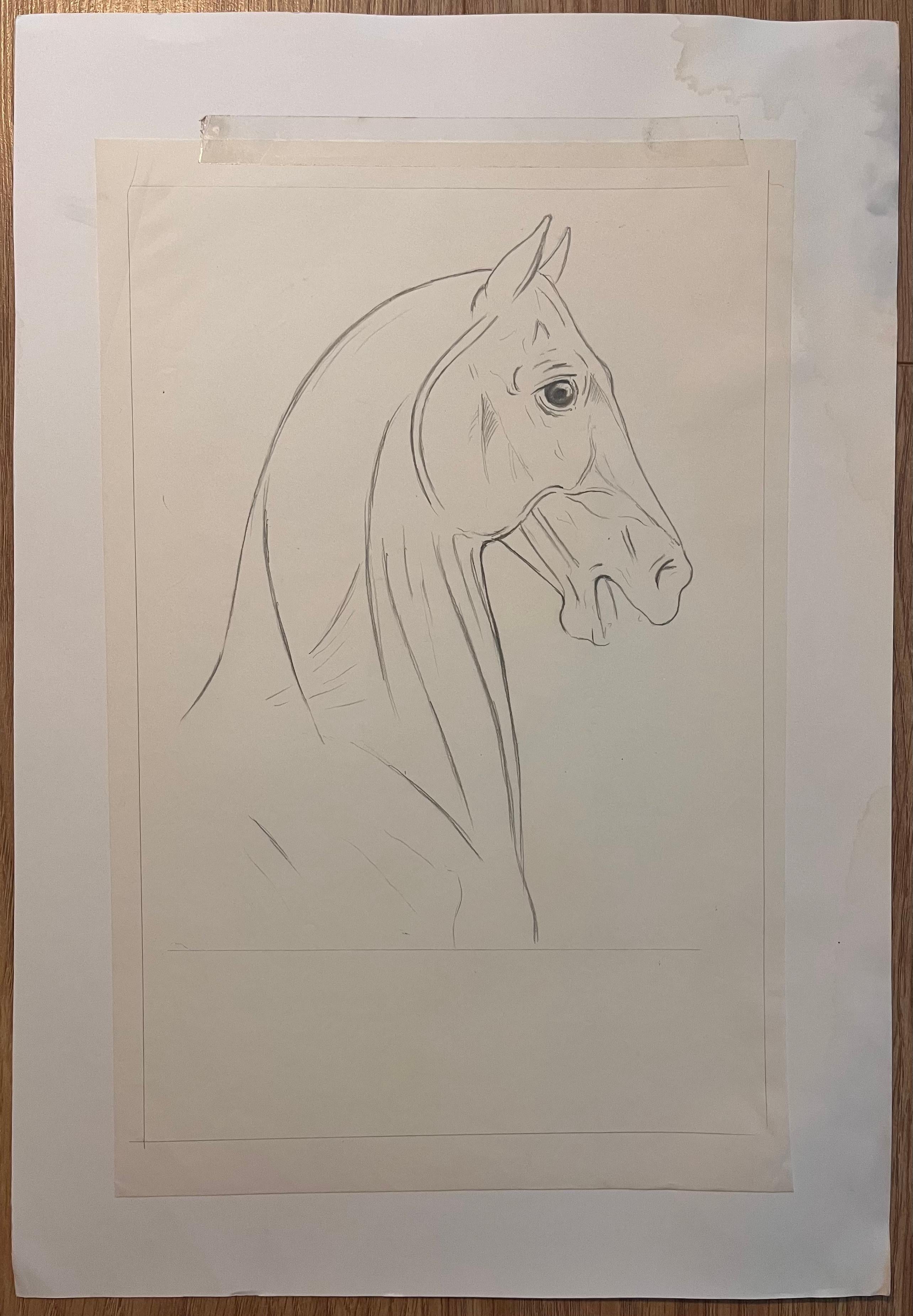 Original French Anatomical Pencil Study of Horse’s Head and Neck - Painting by Robert Ladou