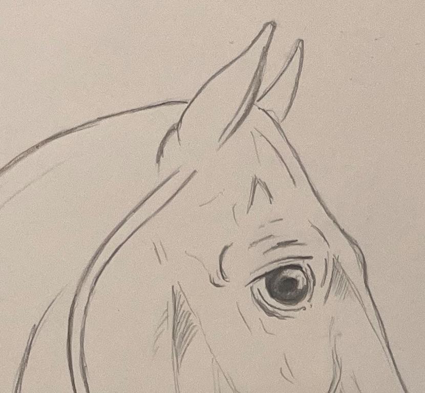 Title: Original French Anatomical Pencil Study of Horse’s Head and Neck
Artist: Robert Ladou (French, 1929-2014)
Medium: Pencil on Paper
Size: 20 (Height) x 13.75 (Width)
Signed: No
Condition: Good, with some minor signs of aging.
Provenance: From