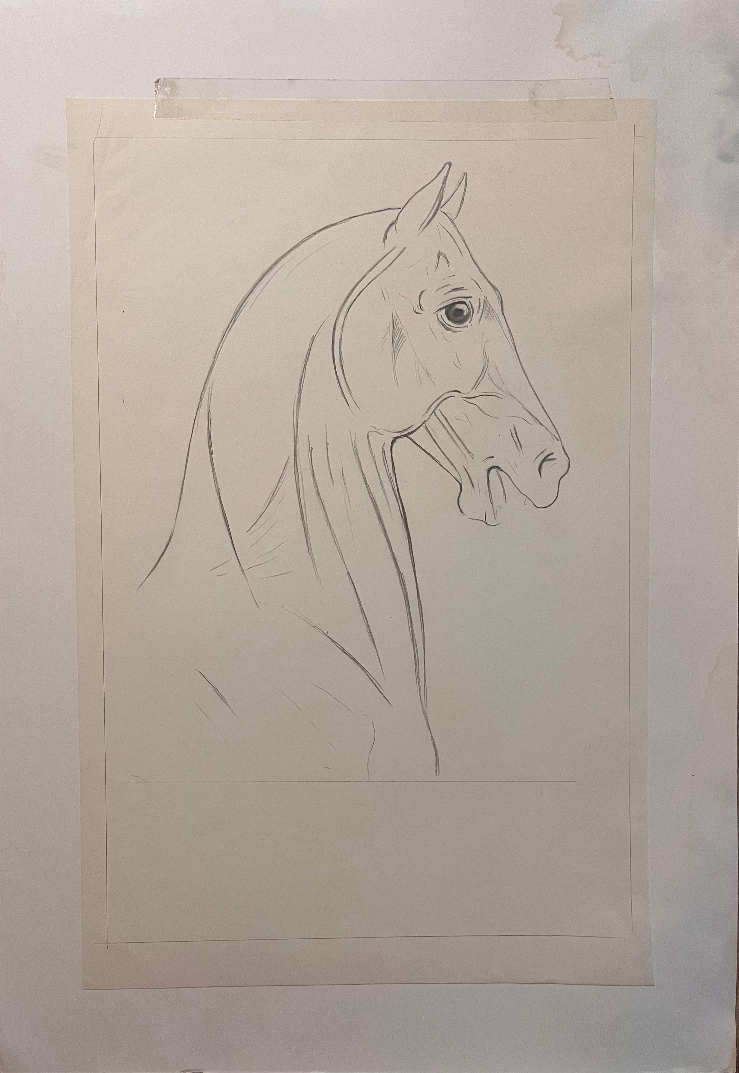 Robert Ladou Animal Painting - Original French Anatomical Pencil Study of Horse’s Head and Neck