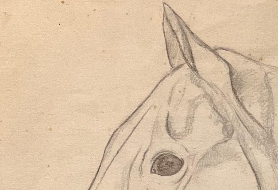 Title: Original French Anatomical Pencil Study of Horse's Head
Artist: Robert Ladou (French, 1929-2014)
Medium: Pencil on Paper
Size: Excluding Mount: 8.75 (Height) x 10.75 (Width), Including Mount: 20 (Height) 13.75 (Width)
Signed: No
Condition: